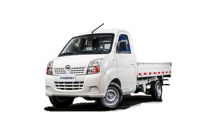 Lifan Foison