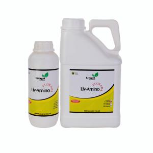 Livagri Fertilizante AMINO FLORADA