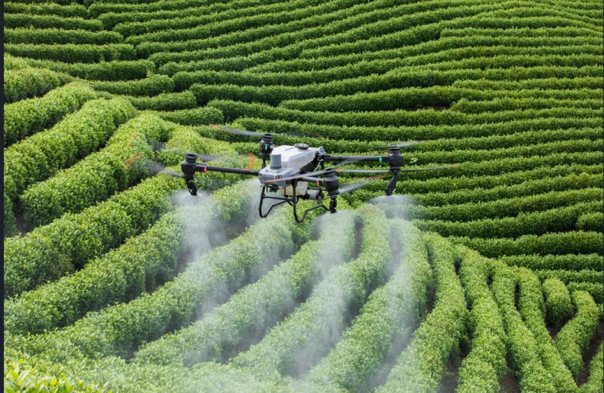 Drone agrícola DJI Agras T50