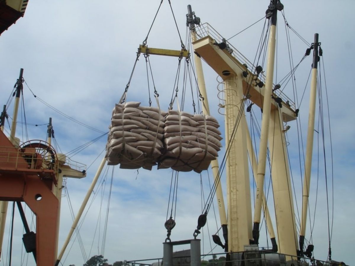 Cinta para transporte (Sling)