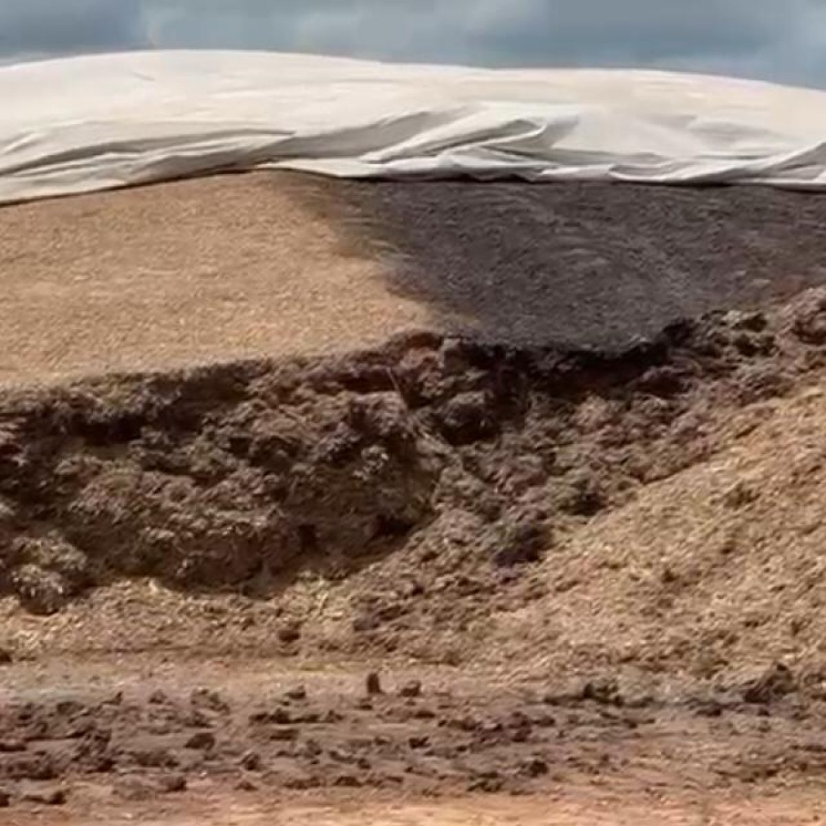 LONAS PARA SILAGEM E BARREIRAS DE OXIGENIO