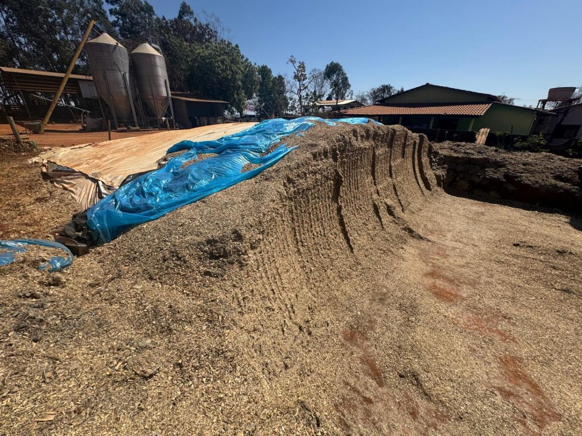LONAS PARA SILAGEM E BARREIRAS DE OXIGENIO