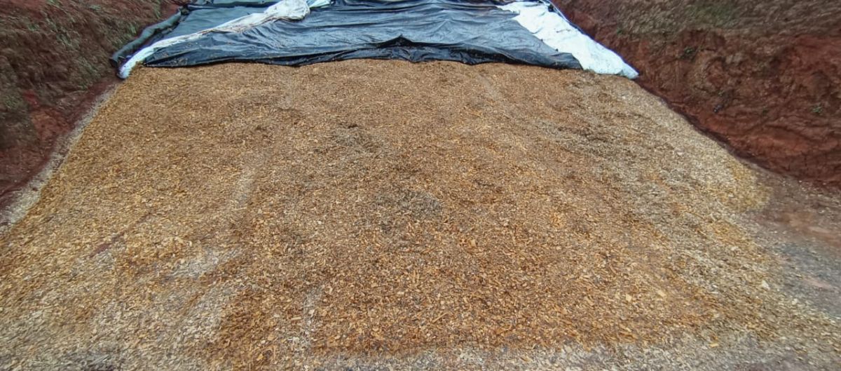 LONAS PARA SILAGEM E BARREIRAS DE OXIGENIO
