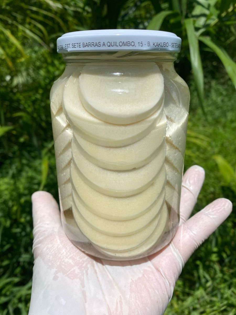Palmito Pupunha em Conserva