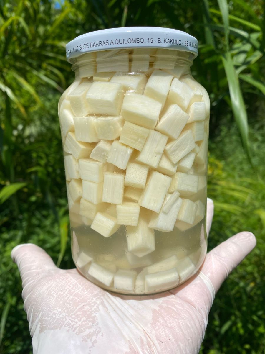 Palmito Pupunha em Conserva