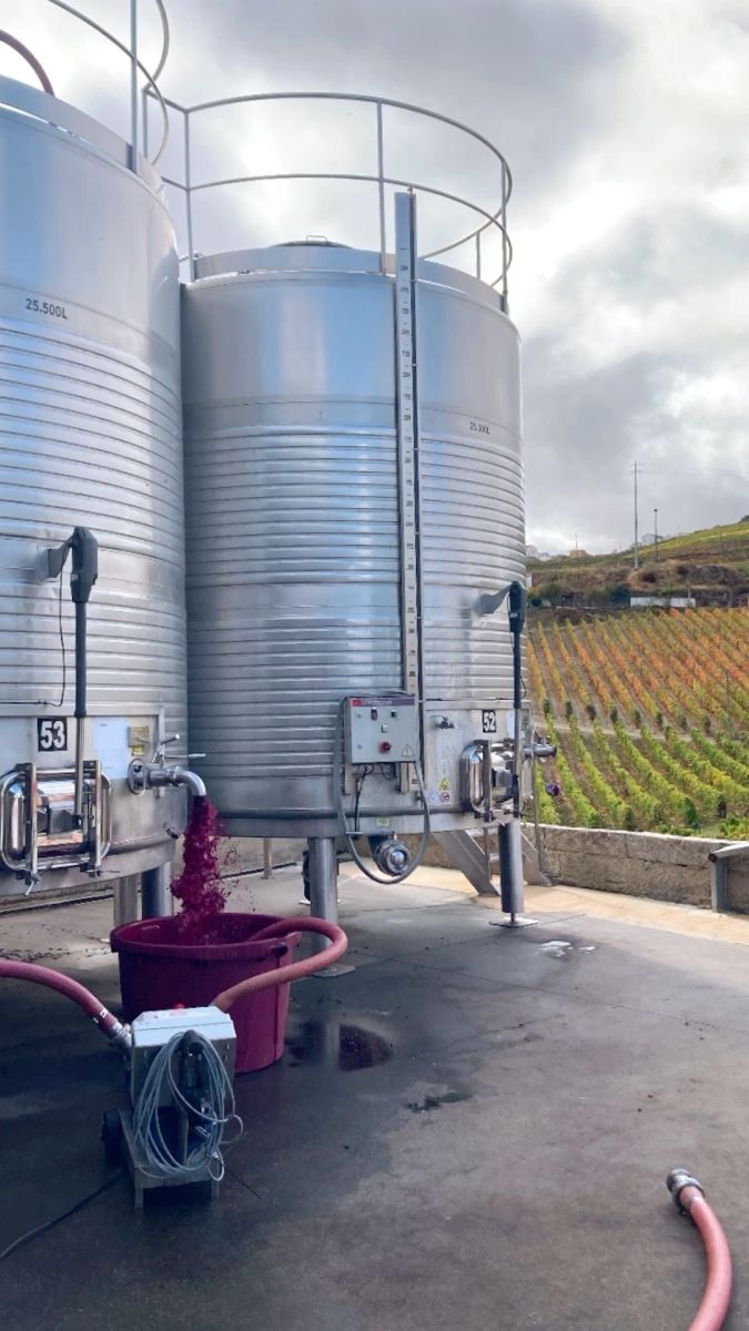 Vinho Tinto a granel direto do produtor