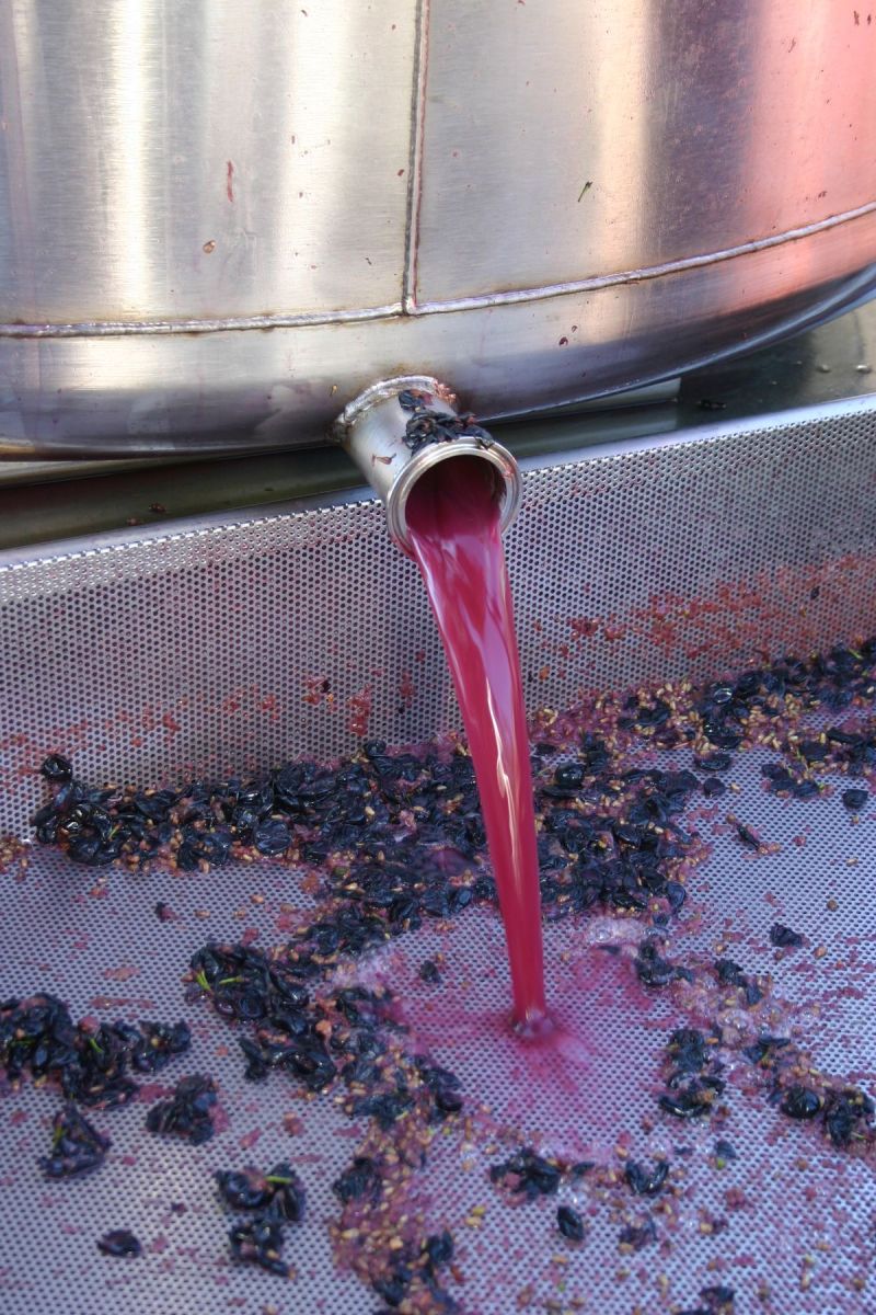Vinho Tinto a granel direto do produtor
