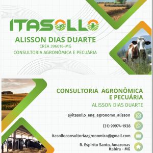 Itasollo consultoria agronômica e pecuária