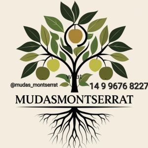 Mudasmontserrat
