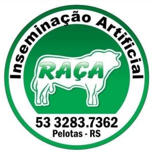 Raca Inseminacao Artificial