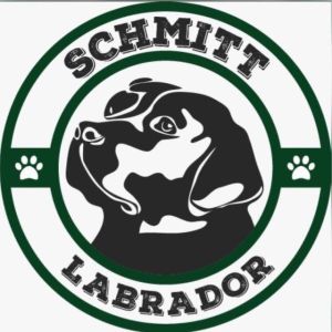 Schmitt Lab