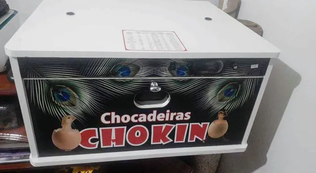 Chocadeira chokin
