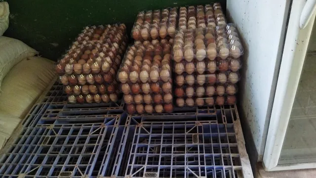 Bandejas Ovo Caipira ou CapoeiraSomente Atacado 30 und