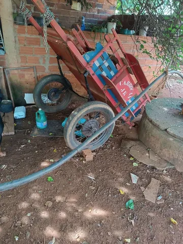 Vendo cavalo e carroça cavalo muito manço 