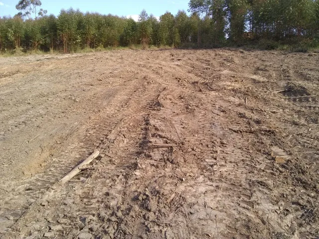 Terreno chácara 