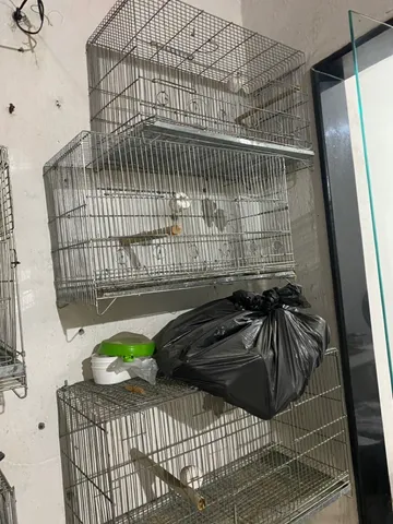 Gaiola tenho de 230 reais e 150 reais 