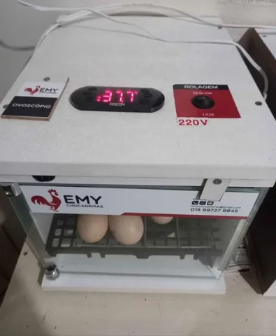 Chocadeira automatica para 21 ovos 