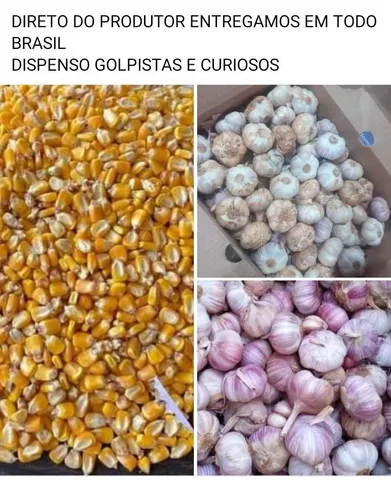 SAMOS PRODUTOR 