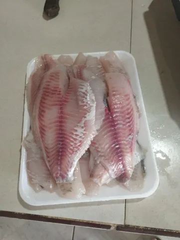 file de tilapia promoção