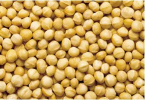 Macadâmia Estilos 1 ,2 e 4, Natural , etc, 5kg