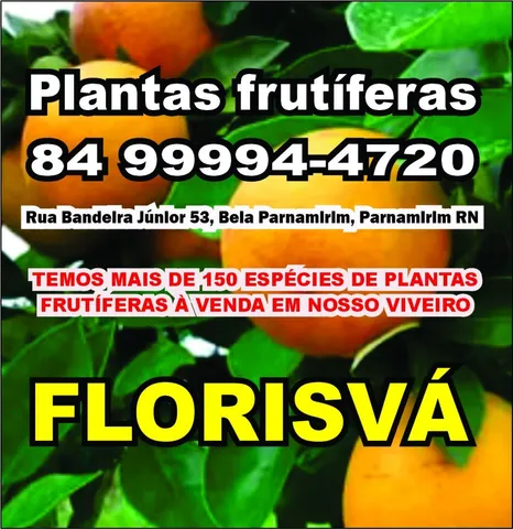 Temos mais de 150 tipos de plantas frutíferas 