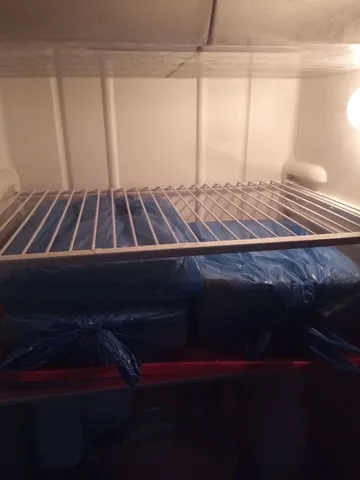 Queijo coalho