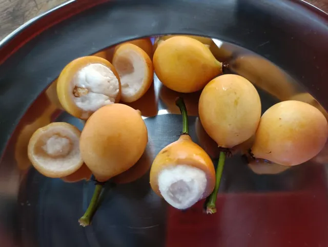 ACHACHAIRU FRUTA