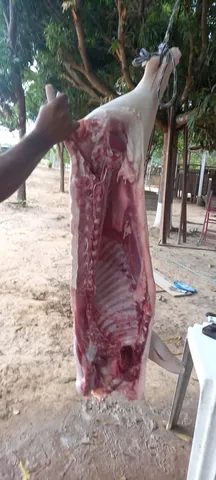 Porco abatido R$ 18.0 kg