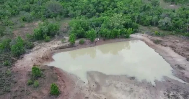 Fazenda 
