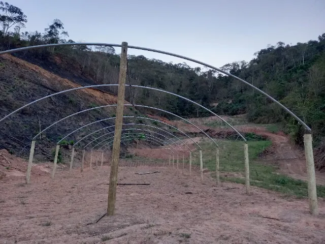 Estufa Agrícola