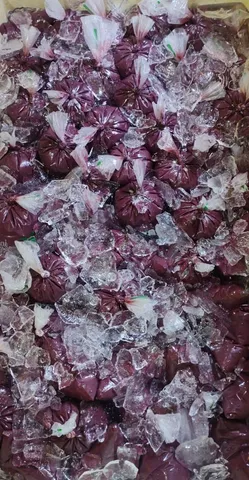 Açaí de Codajás 