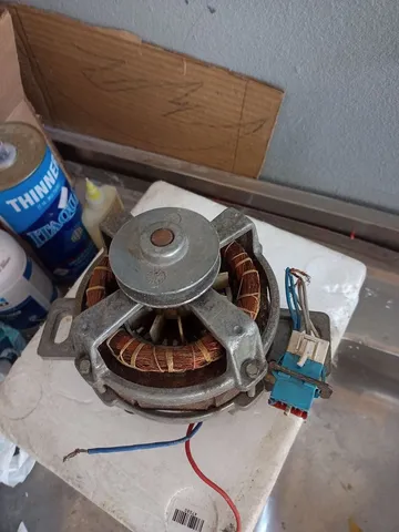 Motor de tanquinho 1/4