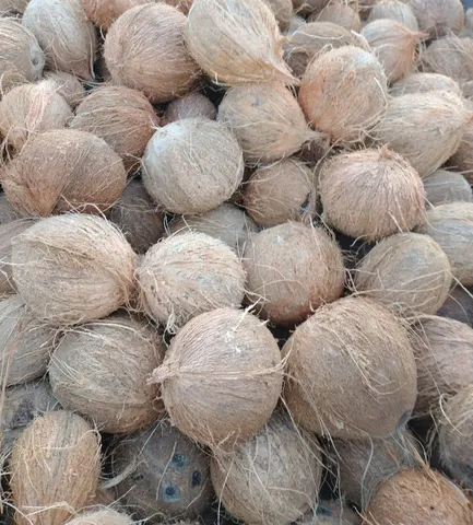 Coco