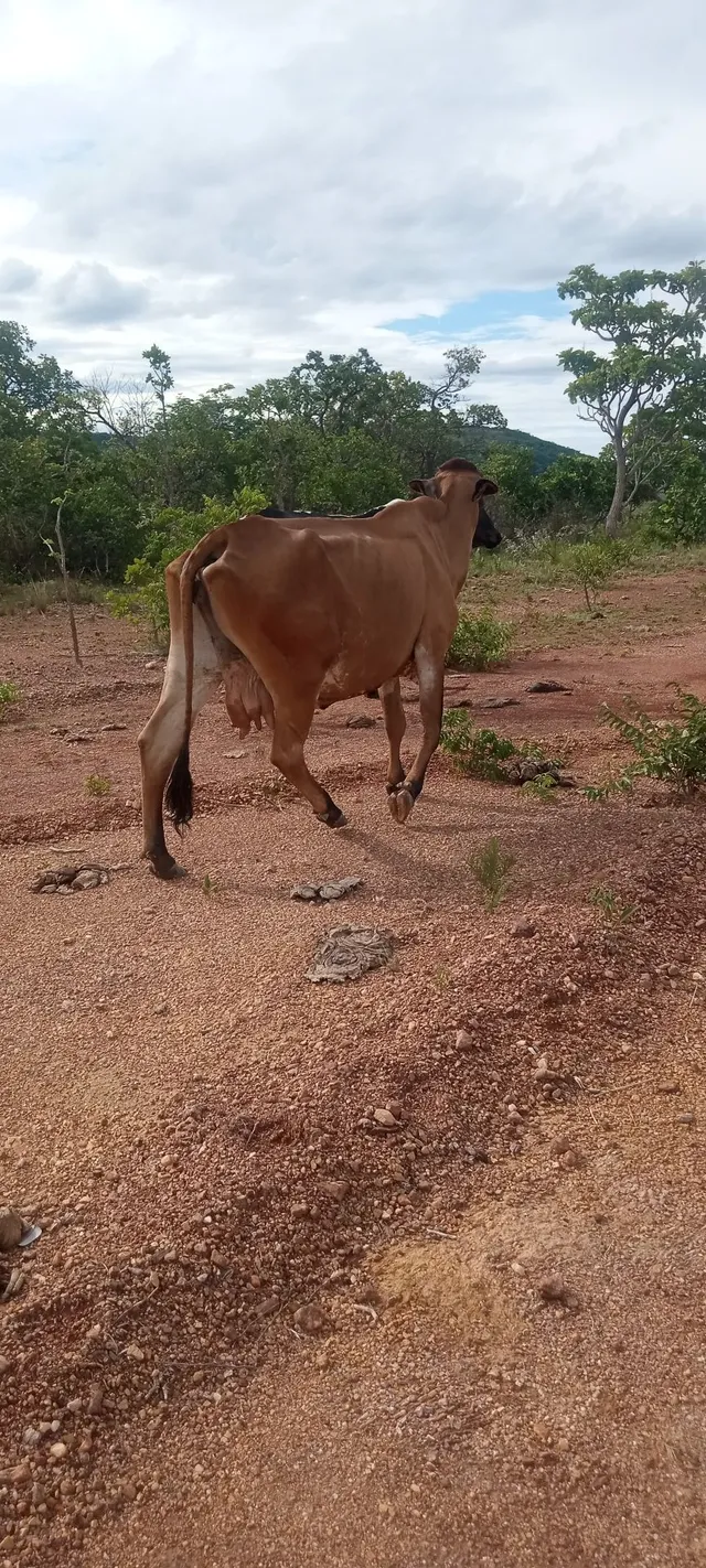 Troco por moto de trilha 