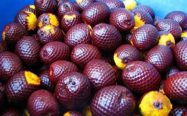 Vendemos poupa de buriti natural da hora passado na máquina o mais grosso possível 