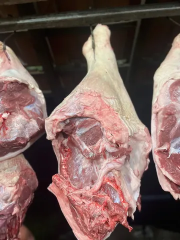 LEITÃO OU PORCO ORGÂNICO DIRETO DA FAZENDA
