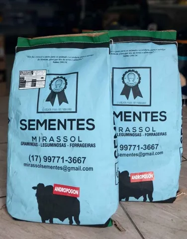 Semente de Andropogon 6kg Mirassol - Safra Nova