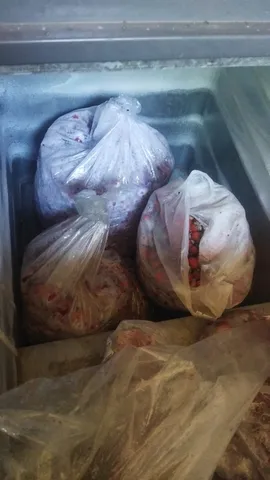 Vendo morango congelado no kilo em geral