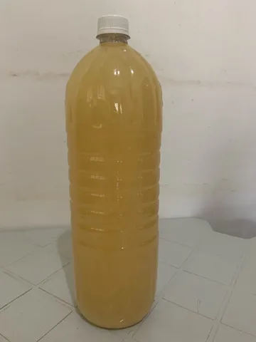 Banha de porco