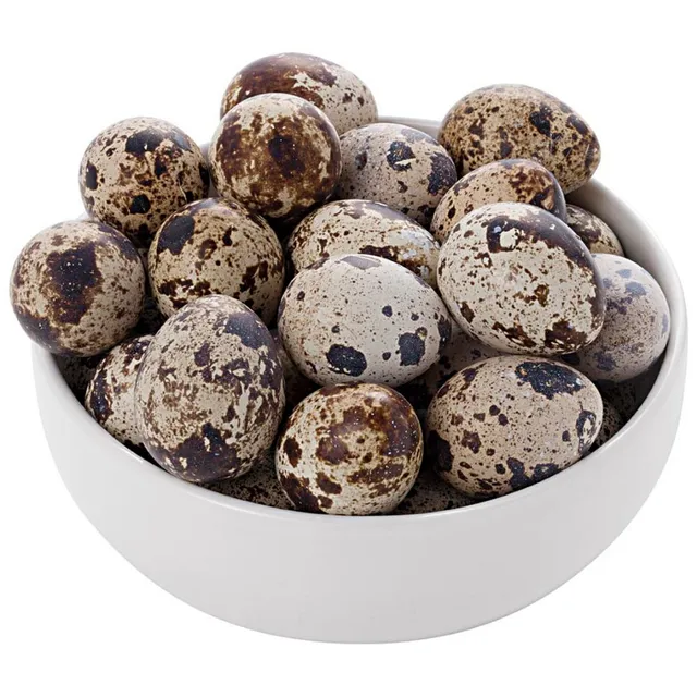 Ovos de codorna para consumo