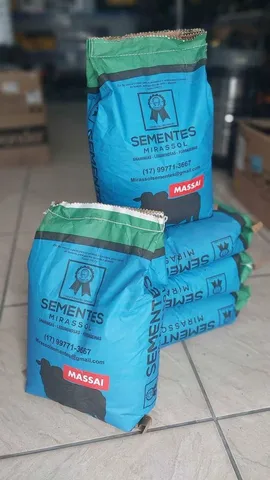 Semente de capim Massai 10kg Mirassol - Safra nova