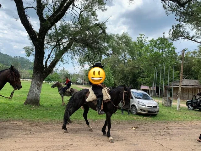 Egua Criola muito mansa, encilhada.