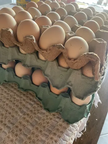 Cartela de ovos caipira 