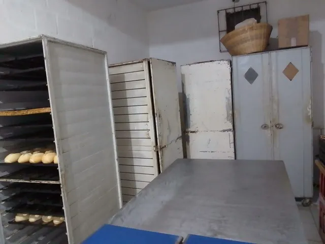 Armários de fermentação 