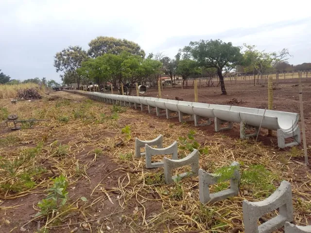 Cacho para confinamento 