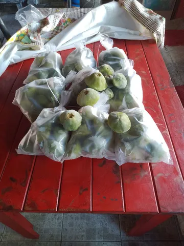  Venda tel. *