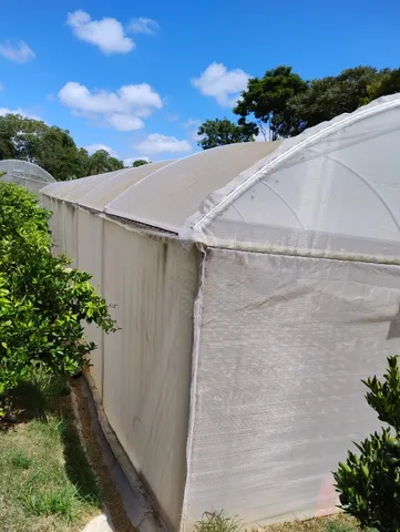 Estufa Agrícola Aço Fort Modelo Fort Econômico 12m x 39m