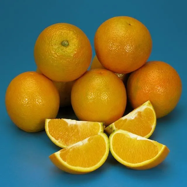 Laranja Pêra Rios Enxertada