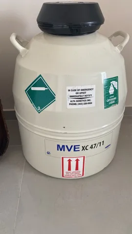 Botijão de semen novo