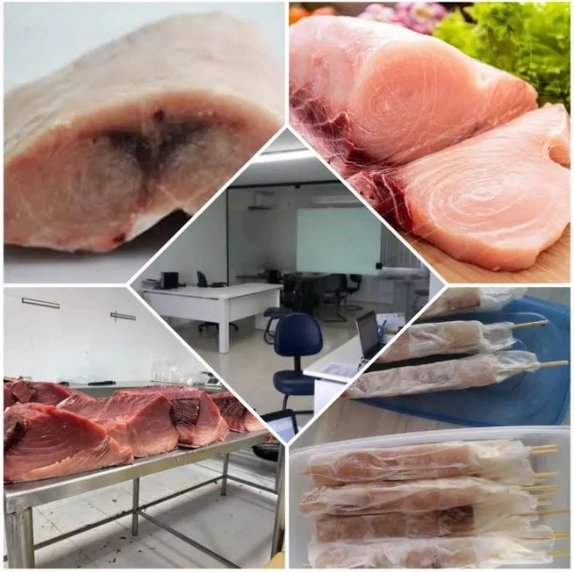 Produção para subprodutos de pescados 